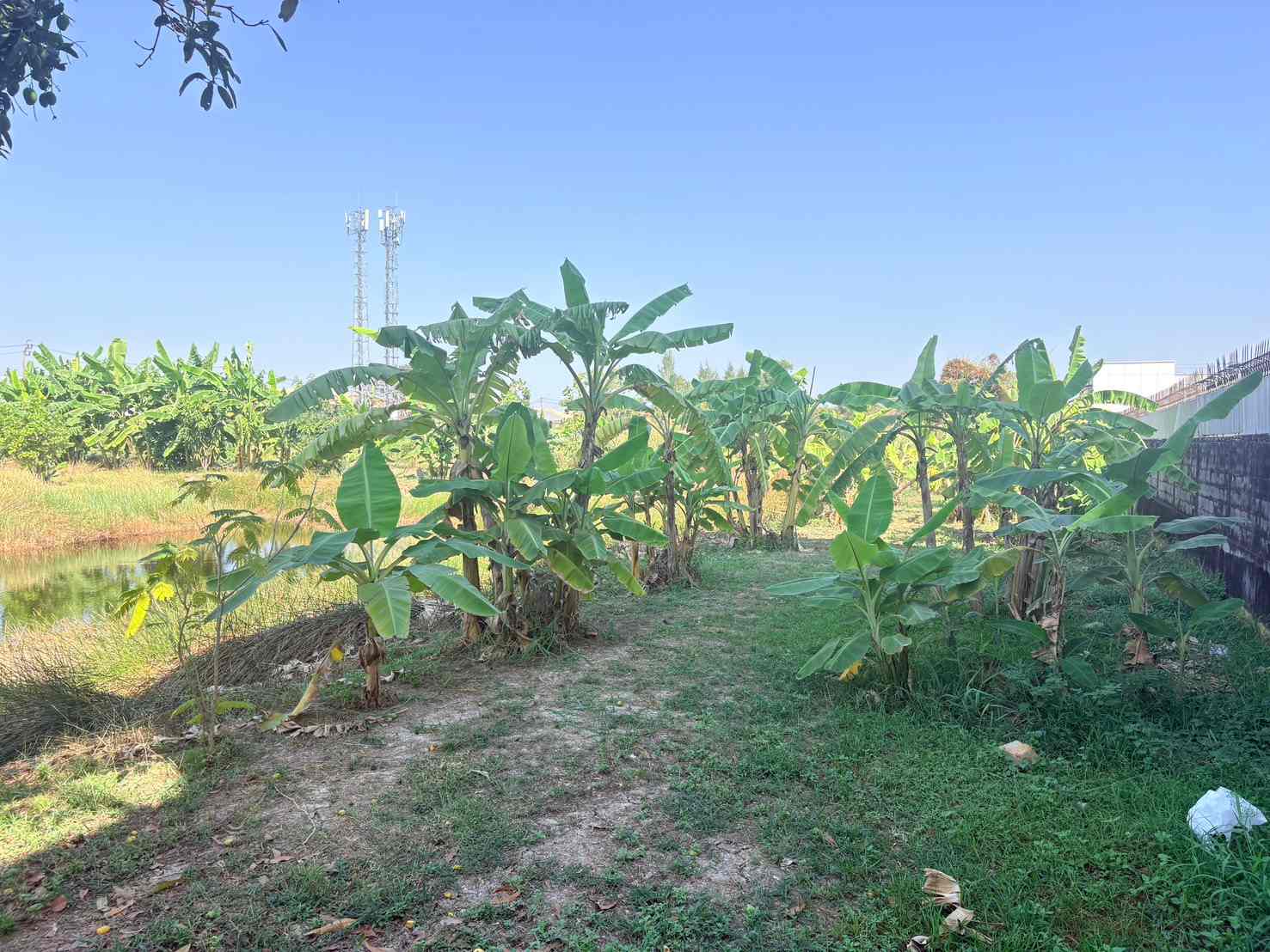 ประกาศฟรี! ซื้อ-ขาย-เช่า คอนโด บ้าน ทาวน์โฮม ที่ดิน และพื้นที่เชิงพาณิชย์ทั่วประเทศไทย ทุกทำเล ทุกงบประมาณ ไม่มีค่าใช้จ่าย ลงง่าย ขายไว เข้าถึงผู้ซื้อโดยตรง 4 314049pic3.jpg