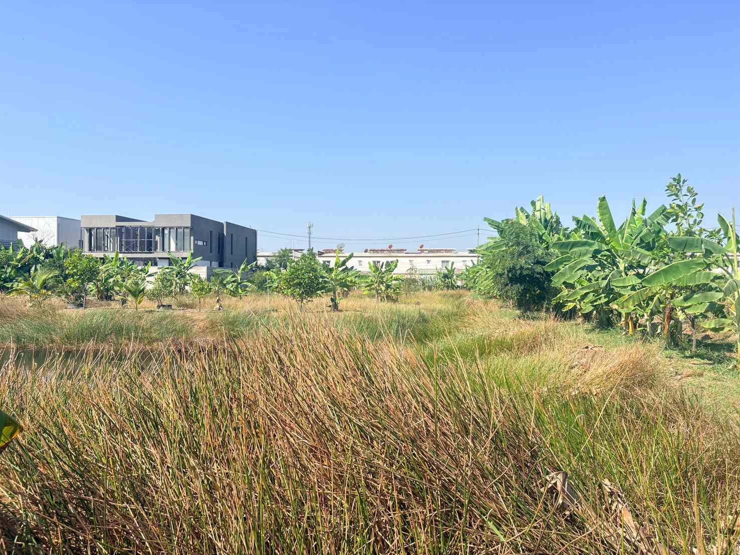 ประกาศฟรี! ซื้อ-ขาย-เช่า คอนโด บ้าน ทาวน์โฮม ที่ดิน และพื้นที่เชิงพาณิชย์ทั่วประเทศไทย ทุกทำเล ทุกงบประมาณ ไม่มีค่าใช้จ่าย ลงง่าย ขายไว เข้าถึงผู้ซื้อโดยตรง 5 314049pic4.jpg