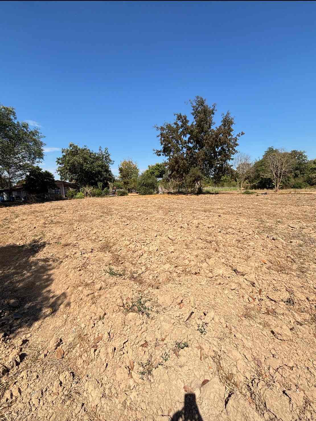 ประกาศฟรี! ซื้อ-ขาย-เช่า คอนโด บ้าน ทาวน์โฮม ที่ดิน และพื้นที่เชิงพาณิชย์ทั่วประเทศไทย ทุกทำเล ทุกงบประมาณ ไม่มีค่าใช้จ่าย ลงง่าย ขายไว เข้าถึงผู้ซื้อโดยตรง 2 314042pic1.jpg