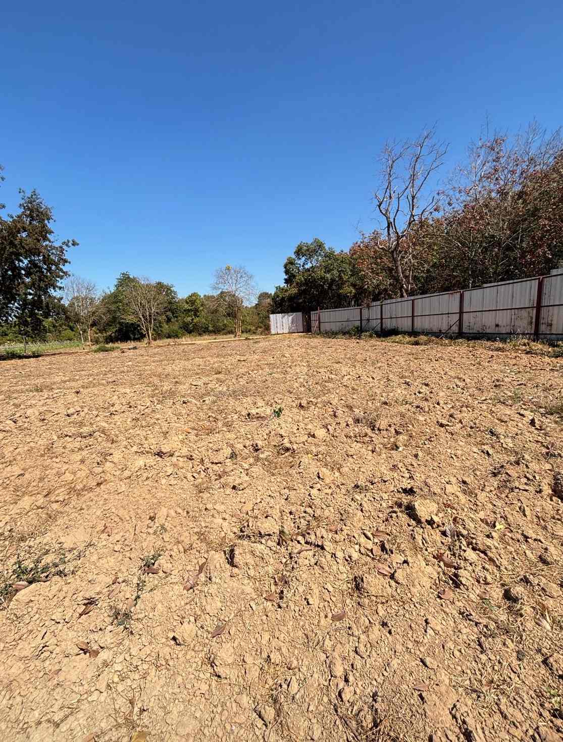 ประกาศฟรี! ซื้อ-ขาย-เช่า คอนโด บ้าน ทาวน์โฮม ที่ดิน และพื้นที่เชิงพาณิชย์ทั่วประเทศไทย ทุกทำเล ทุกงบประมาณ ไม่มีค่าใช้จ่าย ลงง่าย ขายไว เข้าถึงผู้ซื้อโดยตรง 4 314042pic3.jpg