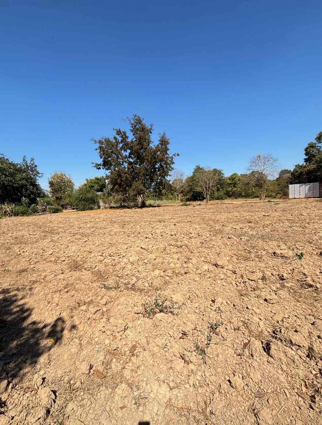 ประกาศฟรี! ซื้อ-ขาย-เช่า คอนโด บ้าน ทาวน์โฮม ที่ดิน และพื้นที่เชิงพาณิชย์ทั่วประเทศไทย ทุกทำเล ทุกงบประมาณ ไม่มีค่าใช้จ่าย ลงง่าย ขายไว เข้าถึงผู้ซื้อโดยตรง 5 314042pic4.jpg