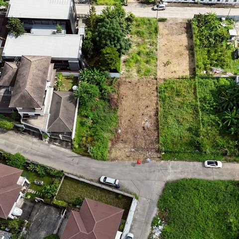 ประกาศฟรี! ซื้อ-ขาย-เช่า คอนโด บ้าน ทาวน์โฮม ที่ดิน และพื้นที่เชิงพาณิชย์ทั่วประเทศไทย ทุกทำเล ทุกงบประมาณ ไม่มีค่าใช้จ่าย ลงง่าย ขายไว เข้าถึงผู้ซื้อโดยตรง 5 314046pic4.jpg