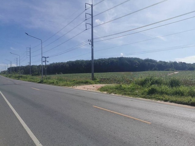 ประกาศฟรี! ซื้อ-ขาย-เช่า คอนโด บ้าน ทาวน์โฮม ที่ดิน และพื้นที่เชิงพาณิชย์ทั่วประเทศไทย ทุกทำเล ทุกงบประมาณ ไม่มีค่าใช้จ่าย ลงง่าย ขายไว เข้าถึงผู้ซื้อโดยตรง 2 295621pic1.jpg