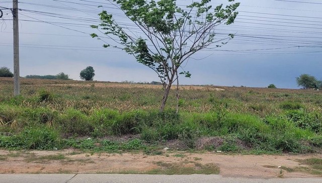 ประกาศฟรี! ซื้อ-ขาย-เช่า คอนโด บ้าน ทาวน์โฮม ที่ดิน และพื้นที่เชิงพาณิชย์ทั่วประเทศไทย ทุกทำเล ทุกงบประมาณ ไม่มีค่าใช้จ่าย ลงง่าย ขายไว เข้าถึงผู้ซื้อโดยตรง 4 295618pic3.jpg