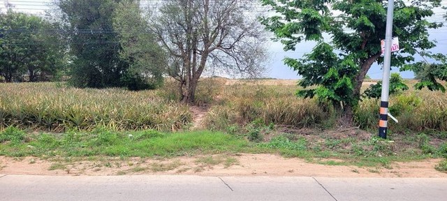 ประกาศฟรี! ซื้อ-ขาย-เช่า คอนโด บ้าน ทาวน์โฮม ที่ดิน และพื้นที่เชิงพาณิชย์ทั่วประเทศไทย ทุกทำเล ทุกงบประมาณ ไม่มีค่าใช้จ่าย ลงง่าย ขายไว เข้าถึงผู้ซื้อโดยตรง 5 295618pic4.jpg