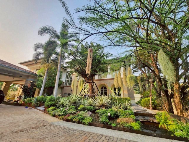 ประกาศฟรี! ซื้อ-ขาย-เช่า คอนโด บ้าน ทาวน์โฮม ที่ดิน และพื้นที่เชิงพาณิชย์ทั่วประเทศไทย ทุกทำเล ทุกงบประมาณ ไม่มีค่าใช้จ่าย ลงง่าย ขายไว เข้าถึงผู้ซื้อโดยตรง 2 249435pic1.jpg