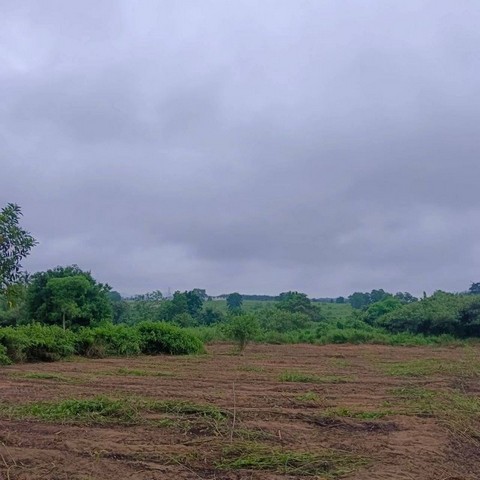 ประกาศฟรี! ซื้อ-ขาย-เช่า คอนโด บ้าน ทาวน์โฮม ที่ดิน และพื้นที่เชิงพาณิชย์ทั่วประเทศไทย ทุกทำเล ทุกงบประมาณ ไม่มีค่าใช้จ่าย ลงง่าย ขายไว เข้าถึงผู้ซื้อโดยตรง 2 295518pic1.jpg