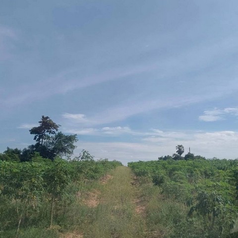 ประกาศฟรี! ซื้อ-ขาย-เช่า คอนโด บ้าน ทาวน์โฮม ที่ดิน และพื้นที่เชิงพาณิชย์ทั่วประเทศไทย ทุกทำเล ทุกงบประมาณ ไม่มีค่าใช้จ่าย ลงง่าย ขายไว เข้าถึงผู้ซื้อโดยตรง 3 295518pic2.jpg