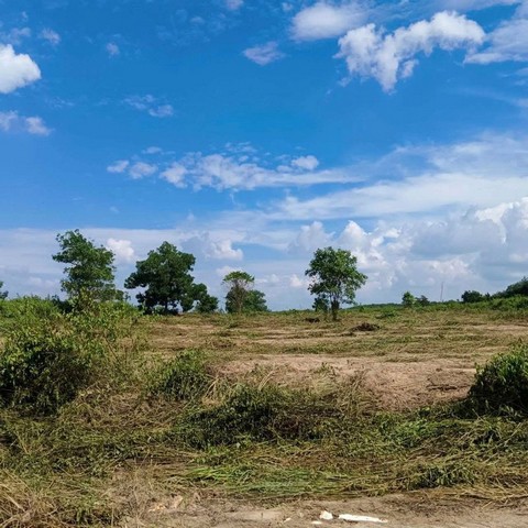 ประกาศฟรี! ซื้อ-ขาย-เช่า คอนโด บ้าน ทาวน์โฮม ที่ดิน และพื้นที่เชิงพาณิชย์ทั่วประเทศไทย ทุกทำเล ทุกงบประมาณ ไม่มีค่าใช้จ่าย ลงง่าย ขายไว เข้าถึงผู้ซื้อโดยตรง 4 295518pic3.jpg