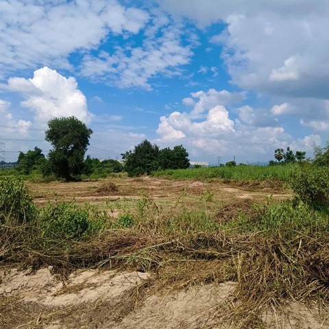 ประกาศฟรี! ซื้อ-ขาย-เช่า คอนโด บ้าน ทาวน์โฮม ที่ดิน และพื้นที่เชิงพาณิชย์ทั่วประเทศไทย ทุกทำเล ทุกงบประมาณ ไม่มีค่าใช้จ่าย ลงง่าย ขายไว เข้าถึงผู้ซื้อโดยตรง 5 295518pic4.jpg