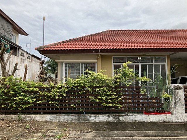 ประกาศฟรี! ซื้อ-ขาย-เช่า คอนโด บ้าน ทาวน์โฮม ที่ดิน และพื้นที่เชิงพาณิชย์ทั่วประเทศไทย ทุกทำเล ทุกงบประมาณ ไม่มีค่าใช้จ่าย ลงง่าย ขายไว เข้าถึงผู้ซื้อโดยตรง 3 249161pic2.jpg