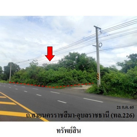 ประกาศฟรี! ซื้อ-ขาย-เช่า คอนโด บ้าน ทาวน์โฮม ที่ดิน และพื้นที่เชิงพาณิชย์ทั่วประเทศไทย ทุกทำเล ทุกงบประมาณ ไม่มีค่าใช้จ่าย ลงง่าย ขายไว เข้าถึงผู้ซื้อโดยตรง 2 236566pic1.jpg