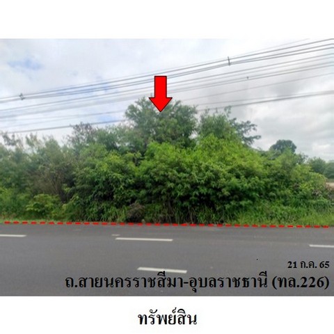 ประกาศฟรี! ซื้อ-ขาย-เช่า คอนโด บ้าน ทาวน์โฮม ที่ดิน และพื้นที่เชิงพาณิชย์ทั่วประเทศไทย ทุกทำเล ทุกงบประมาณ ไม่มีค่าใช้จ่าย ลงง่าย ขายไว เข้าถึงผู้ซื้อโดยตรง 3 236566pic2.jpg