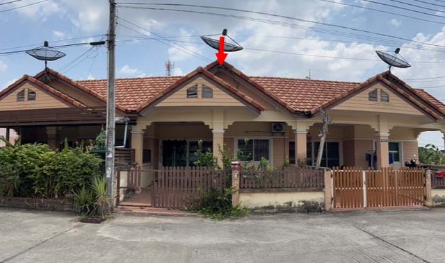 ประกาศฟรี! ซื้อ-ขาย-เช่า คอนโด บ้าน ทาวน์โฮม ที่ดิน และพื้นที่เชิงพาณิชย์ทั่วประเทศไทย ทุกทำเล ทุกงบประมาณ ไม่มีค่าใช้จ่าย ลงง่าย ขายไว เข้าถึงผู้ซื้อโดยตรง 2 249087pic1.jpg