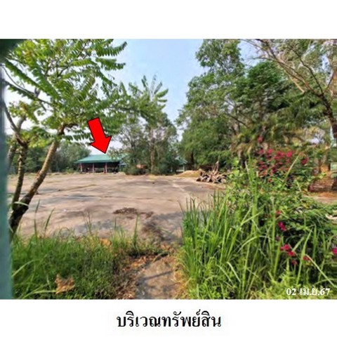 ประกาศฟรี! ซื้อ-ขาย-เช่า คอนโด บ้าน ทาวน์โฮม ที่ดิน และพื้นที่เชิงพาณิชย์ทั่วประเทศไทย ทุกทำเล ทุกงบประมาณ ไม่มีค่าใช้จ่าย ลงง่าย ขายไว เข้าถึงผู้ซื้อโดยตรง 5 236530pic4.jpg