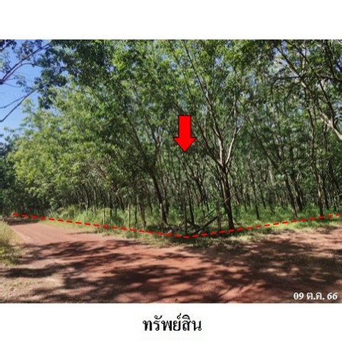 ประกาศฟรี! ซื้อ-ขาย-เช่า คอนโด บ้าน ทาวน์โฮม ที่ดิน และพื้นที่เชิงพาณิชย์ทั่วประเทศไทย ทุกทำเล ทุกงบประมาณ ไม่มีค่าใช้จ่าย ลงง่าย ขายไว เข้าถึงผู้ซื้อโดยตรง 2 236525pic1.jpg