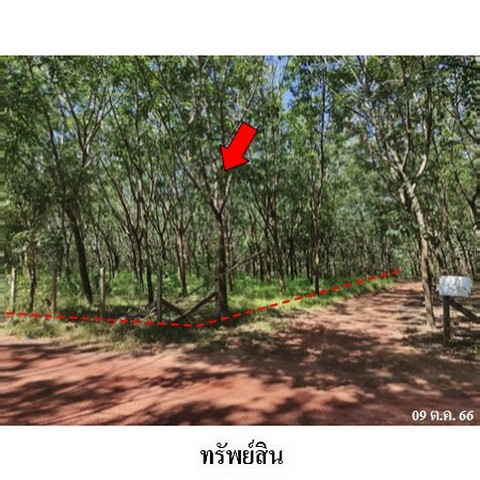 ประกาศฟรี! ซื้อ-ขาย-เช่า คอนโด บ้าน ทาวน์โฮม ที่ดิน และพื้นที่เชิงพาณิชย์ทั่วประเทศไทย ทุกทำเล ทุกงบประมาณ ไม่มีค่าใช้จ่าย ลงง่าย ขายไว เข้าถึงผู้ซื้อโดยตรง 3 236525pic2.jpg