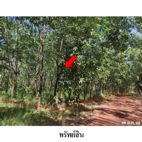 ประกาศฟรี! ซื้อ-ขาย-เช่า คอนโด บ้าน ทาวน์โฮม ที่ดิน และพื้นที่เชิงพาณิชย์ทั่วประเทศไทย ทุกทำเล ทุกงบประมาณ ไม่มีค่าใช้จ่าย ลงง่าย ขายไว เข้าถึงผู้ซื้อโดยตรง 4 236525pic3.jpg