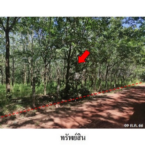 ประกาศฟรี! ซื้อ-ขาย-เช่า คอนโด บ้าน ทาวน์โฮม ที่ดิน และพื้นที่เชิงพาณิชย์ทั่วประเทศไทย ทุกทำเล ทุกงบประมาณ ไม่มีค่าใช้จ่าย ลงง่าย ขายไว เข้าถึงผู้ซื้อโดยตรง 5 236525pic4.jpg