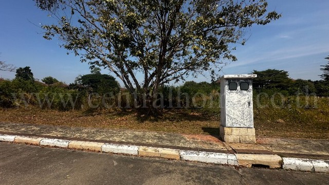 ประกาศฟรี! ซื้อ-ขาย-เช่า คอนโด บ้าน ทาวน์โฮม ที่ดิน และพื้นที่เชิงพาณิชย์ทั่วประเทศไทย ทุกทำเล ทุกงบประมาณ ไม่มีค่าใช้จ่าย ลงง่าย ขายไว เข้าถึงผู้ซื้อโดยตรง 2 249392pic1.jpg