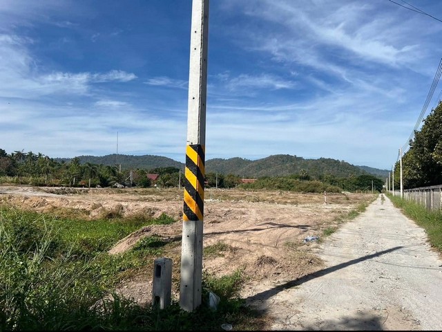 ประกาศฟรี! ซื้อ-ขาย-เช่า คอนโด บ้าน ทาวน์โฮม ที่ดิน และพื้นที่เชิงพาณิชย์ทั่วประเทศไทย ทุกทำเล ทุกงบประมาณ ไม่มีค่าใช้จ่าย ลงง่าย ขายไว เข้าถึงผู้ซื้อโดยตรง 4 314014pic3.jpg