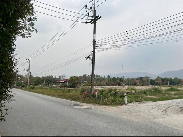 ประกาศฟรี! ซื้อ-ขาย-เช่า คอนโด บ้าน ทาวน์โฮม ที่ดิน และพื้นที่เชิงพาณิชย์ทั่วประเทศไทย ทุกทำเล ทุกงบประมาณ ไม่มีค่าใช้จ่าย ลงง่าย ขายไว เข้าถึงผู้ซื้อโดยตรง 5 314014pic4.jpg