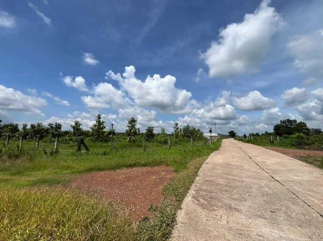 ประกาศฟรี! ซื้อ-ขาย-เช่า คอนโด บ้าน ทาวน์โฮม ที่ดิน และพื้นที่เชิงพาณิชย์ทั่วประเทศไทย ทุกทำเล ทุกงบประมาณ ไม่มีค่าใช้จ่าย ลงง่าย ขายไว เข้าถึงผู้ซื้อโดยตรง 3 314079pic2.jpg