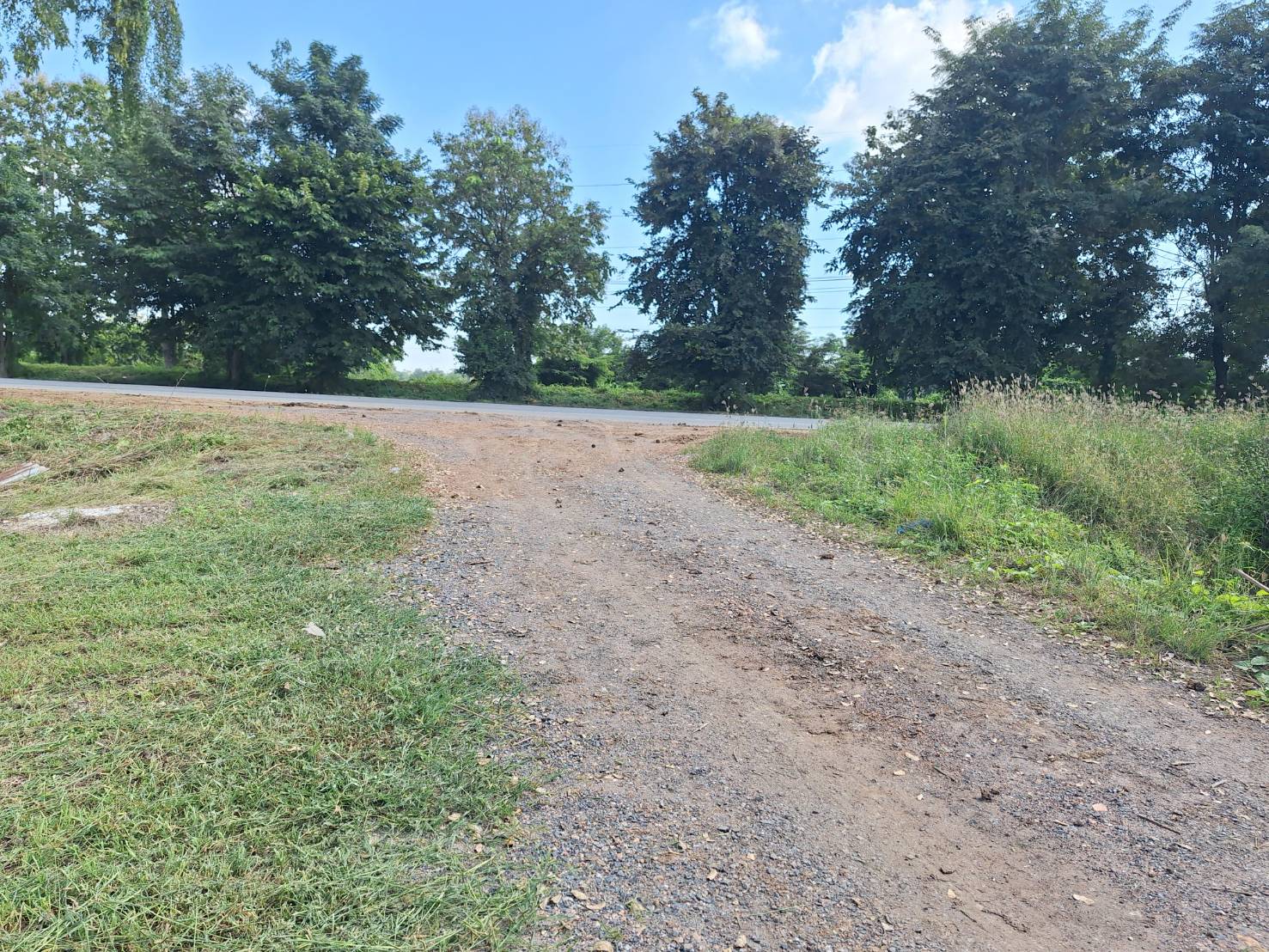 ประกาศฟรี! ซื้อ-ขาย-เช่า คอนโด บ้าน ทาวน์โฮม ที่ดิน และพื้นที่เชิงพาณิชย์ทั่วประเทศไทย ทุกทำเล ทุกงบประมาณ ไม่มีค่าใช้จ่าย ลงง่าย ขายไว เข้าถึงผู้ซื้อโดยตรง 4 292747pic3.jpg