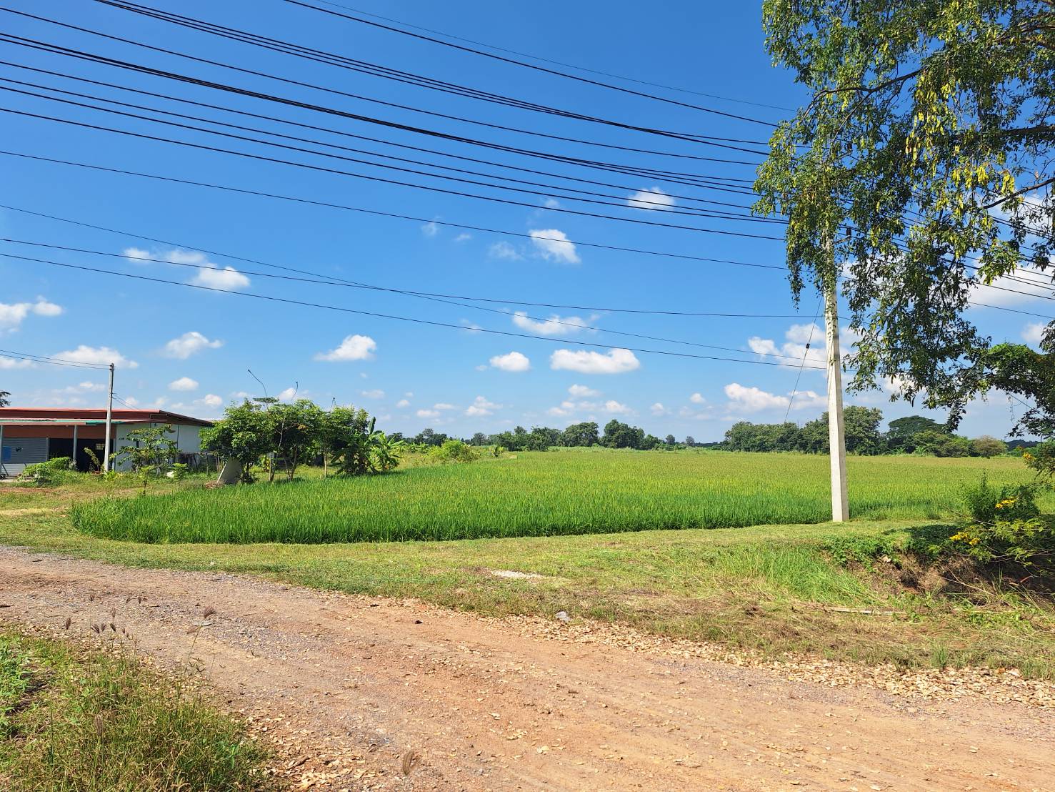 ประกาศฟรี! ซื้อ-ขาย-เช่า คอนโด บ้าน ทาวน์โฮม ที่ดิน และพื้นที่เชิงพาณิชย์ทั่วประเทศไทย ทุกทำเล ทุกงบประมาณ ไม่มีค่าใช้จ่าย ลงง่าย ขายไว เข้าถึงผู้ซื้อโดยตรง 5 292747pic4.jpg