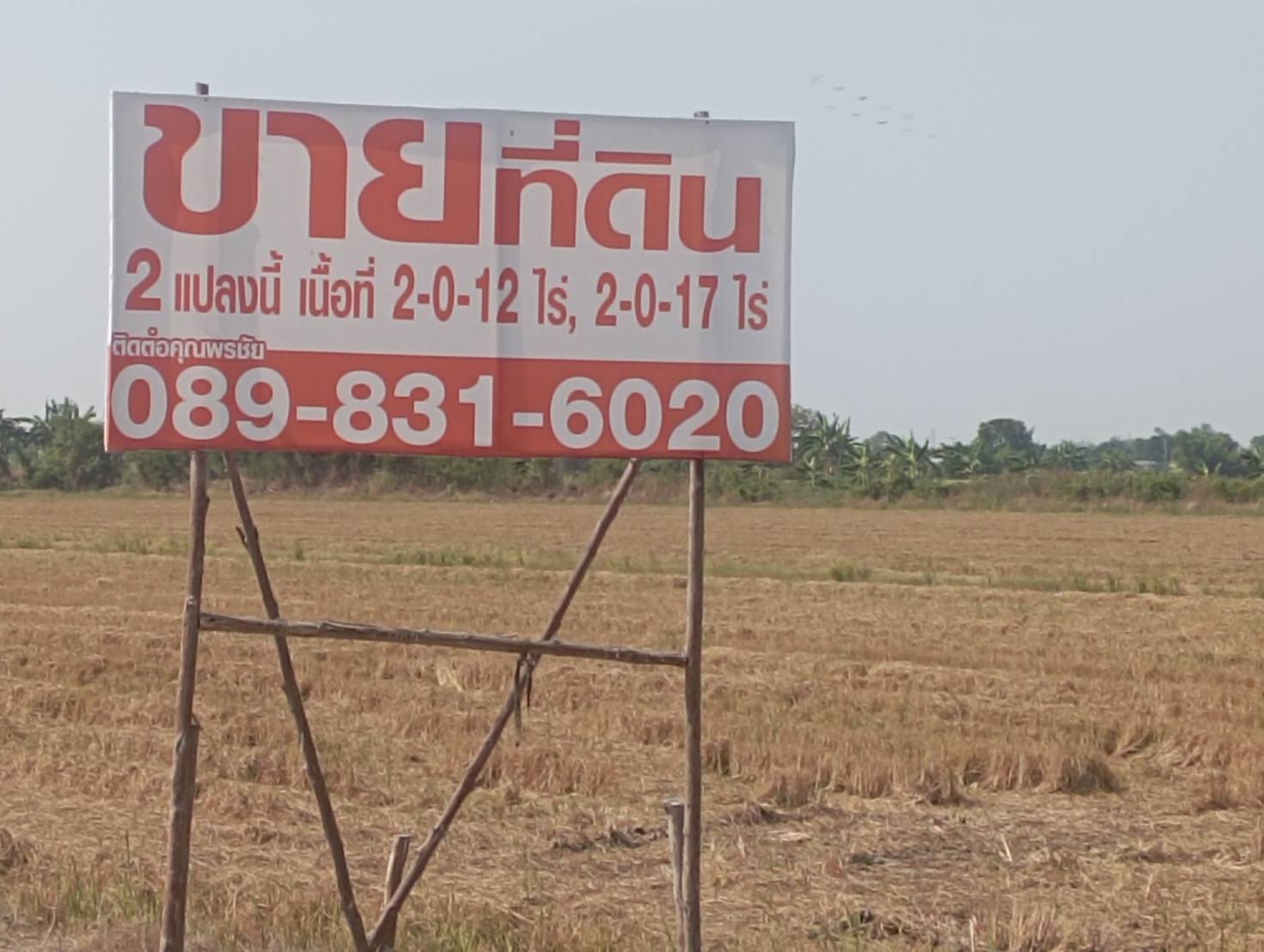 ประกาศฟรี! ซื้อ-ขาย-เช่า คอนโด บ้าน ทาวน์โฮม ที่ดิน และพื้นที่เชิงพาณิชย์ทั่วประเทศไทย ทุกทำเล ทุกงบประมาณ ไม่มีค่าใช้จ่าย ลงง่าย ขายไว เข้าถึงผู้ซื้อโดยตรง 2 313607pic1.jpg