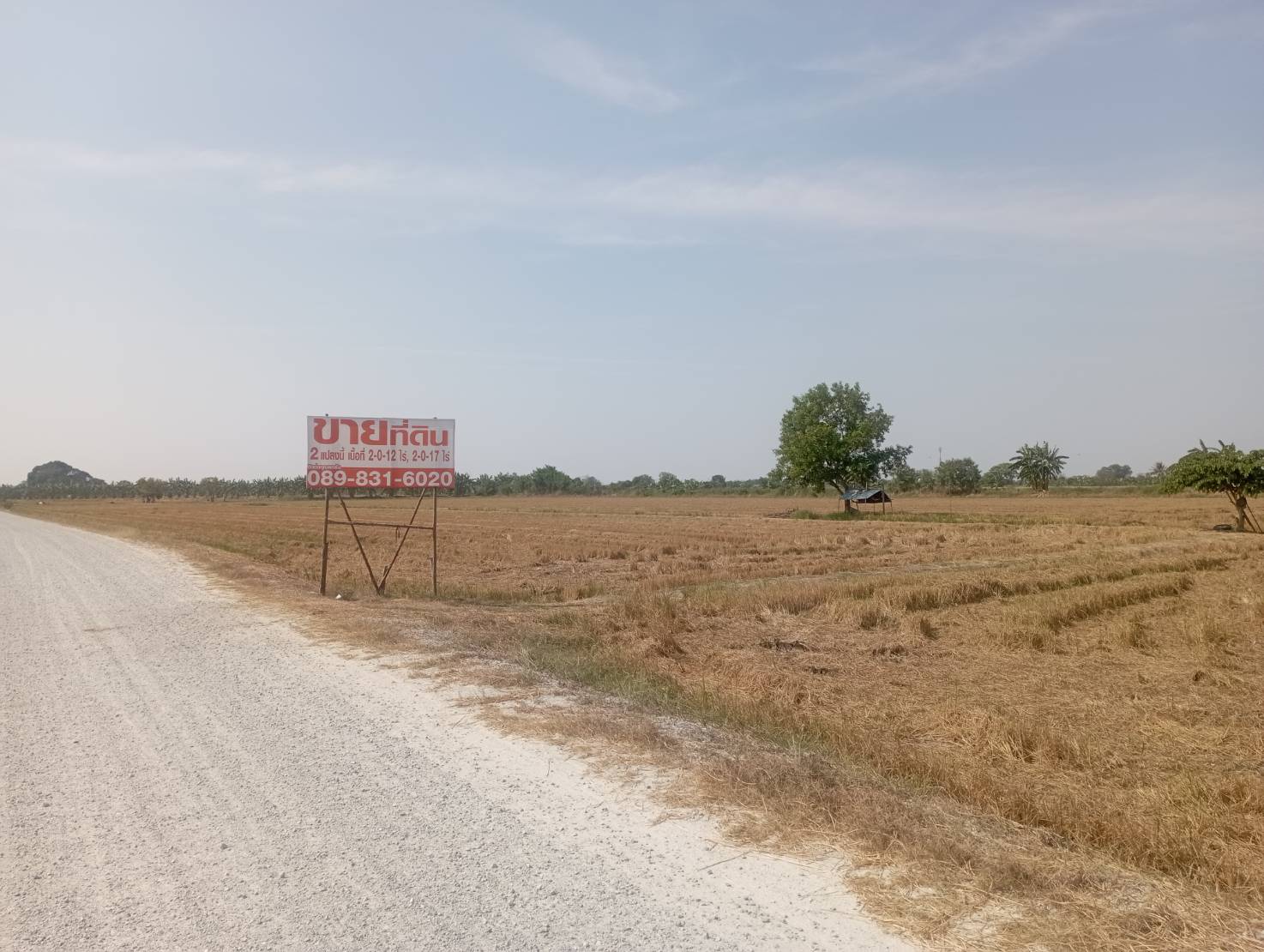 ประกาศฟรี! ซื้อ-ขาย-เช่า คอนโด บ้าน ทาวน์โฮม ที่ดิน และพื้นที่เชิงพาณิชย์ทั่วประเทศไทย ทุกทำเล ทุกงบประมาณ ไม่มีค่าใช้จ่าย ลงง่าย ขายไว เข้าถึงผู้ซื้อโดยตรง 3 313607pic2.jpg