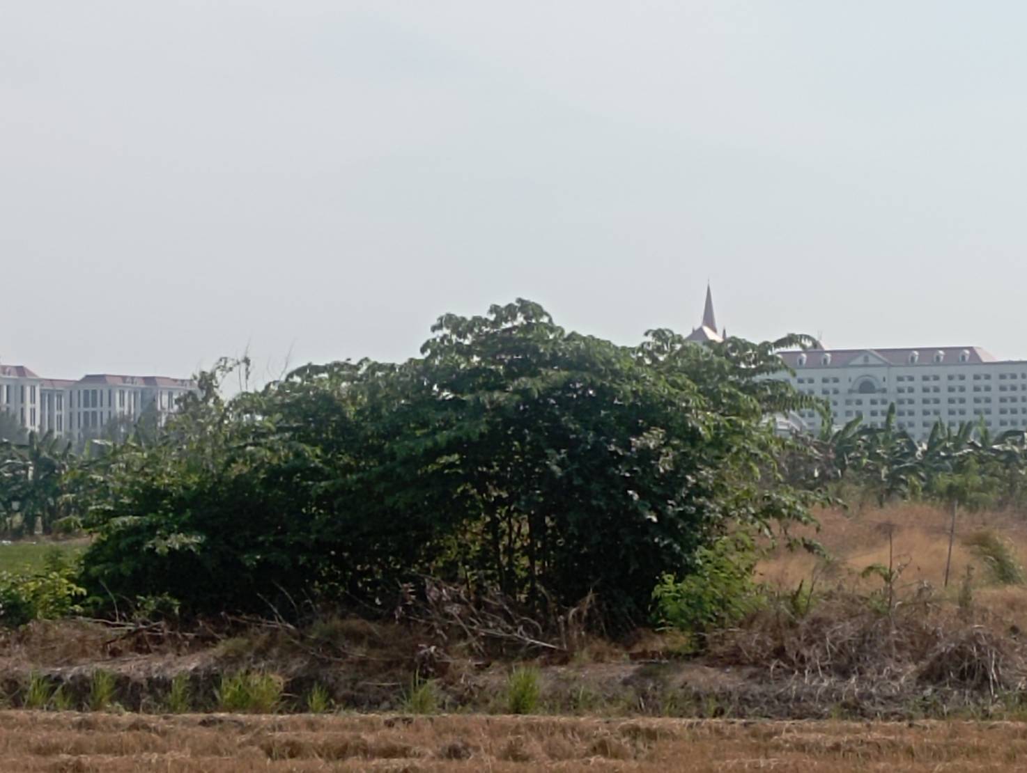 ประกาศฟรี! ซื้อ-ขาย-เช่า คอนโด บ้าน ทาวน์โฮม ที่ดิน และพื้นที่เชิงพาณิชย์ทั่วประเทศไทย ทุกทำเล ทุกงบประมาณ ไม่มีค่าใช้จ่าย ลงง่าย ขายไว เข้าถึงผู้ซื้อโดยตรง 4 313607pic3.jpg