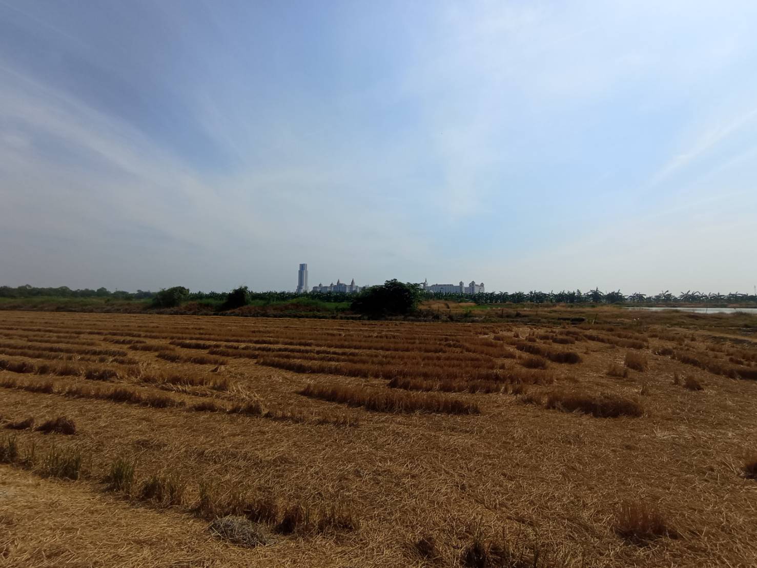 ประกาศฟรี! ซื้อ-ขาย-เช่า คอนโด บ้าน ทาวน์โฮม ที่ดิน และพื้นที่เชิงพาณิชย์ทั่วประเทศไทย ทุกทำเล ทุกงบประมาณ ไม่มีค่าใช้จ่าย ลงง่าย ขายไว เข้าถึงผู้ซื้อโดยตรง 5 313607pic4.jpg