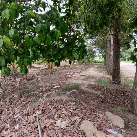 ประกาศฟรี! ซื้อ-ขาย-เช่า คอนโด บ้าน ทาวน์โฮม ที่ดิน และพื้นที่เชิงพาณิชย์ทั่วประเทศไทย ทุกทำเล ทุกงบประมาณ ไม่มีค่าใช้จ่าย ลงง่าย ขายไว เข้าถึงผู้ซื้อโดยตรง 2 295962pic1.jpg