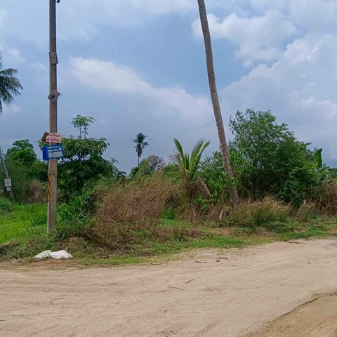 ประกาศฟรี! ซื้อ-ขาย-เช่า คอนโด บ้าน ทาวน์โฮม ที่ดิน และพื้นที่เชิงพาณิชย์ทั่วประเทศไทย ทุกทำเล ทุกงบประมาณ ไม่มีค่าใช้จ่าย ลงง่าย ขายไว เข้าถึงผู้ซื้อโดยตรง 3 295962pic2.jpg