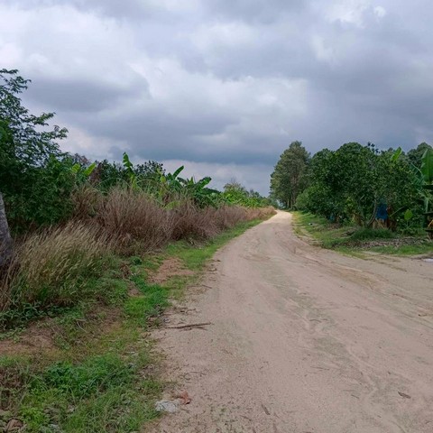 ประกาศฟรี! ซื้อ-ขาย-เช่า คอนโด บ้าน ทาวน์โฮม ที่ดิน และพื้นที่เชิงพาณิชย์ทั่วประเทศไทย ทุกทำเล ทุกงบประมาณ ไม่มีค่าใช้จ่าย ลงง่าย ขายไว เข้าถึงผู้ซื้อโดยตรง 4 295962pic3.jpg