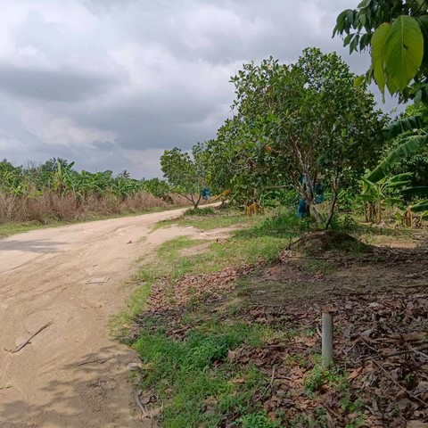 ประกาศฟรี! ซื้อ-ขาย-เช่า คอนโด บ้าน ทาวน์โฮม ที่ดิน และพื้นที่เชิงพาณิชย์ทั่วประเทศไทย ทุกทำเล ทุกงบประมาณ ไม่มีค่าใช้จ่าย ลงง่าย ขายไว เข้าถึงผู้ซื้อโดยตรง 5 295962pic4.jpg