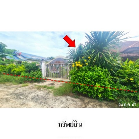 ประกาศฟรี! ซื้อ-ขาย-เช่า คอนโด บ้าน ทาวน์โฮม ที่ดิน และพื้นที่เชิงพาณิชย์ทั่วประเทศไทย ทุกทำเล ทุกงบประมาณ ไม่มีค่าใช้จ่าย ลงง่าย ขายไว เข้าถึงผู้ซื้อโดยตรง 2 236647pic1.jpg