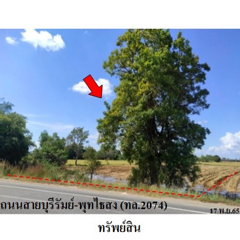 ประกาศฟรี! ซื้อ-ขาย-เช่า คอนโด บ้าน ทาวน์โฮม ที่ดิน และพื้นที่เชิงพาณิชย์ทั่วประเทศไทย ทุกทำเล ทุกงบประมาณ ไม่มีค่าใช้จ่าย ลงง่าย ขายไว เข้าถึงผู้ซื้อโดยตรง 3 236627pic2.jpg