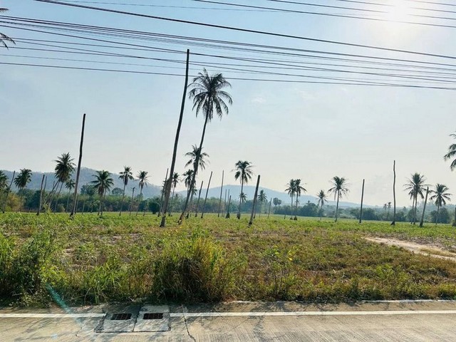 ประกาศฟรี! ซื้อ-ขาย-เช่า คอนโด บ้าน ทาวน์โฮม ที่ดิน และพื้นที่เชิงพาณิชย์ทั่วประเทศไทย ทุกทำเล ทุกงบประมาณ ไม่มีค่าใช้จ่าย ลงง่าย ขายไว เข้าถึงผู้ซื้อโดยตรง 2 295720pic1.jpg