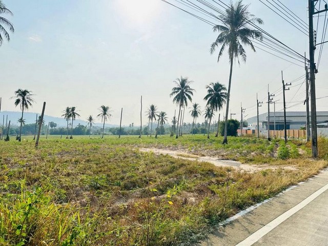 ประกาศฟรี! ซื้อ-ขาย-เช่า คอนโด บ้าน ทาวน์โฮม ที่ดิน และพื้นที่เชิงพาณิชย์ทั่วประเทศไทย ทุกทำเล ทุกงบประมาณ ไม่มีค่าใช้จ่าย ลงง่าย ขายไว เข้าถึงผู้ซื้อโดยตรง 3 295720pic2.jpg