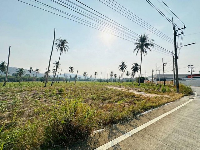 ประกาศฟรี! ซื้อ-ขาย-เช่า คอนโด บ้าน ทาวน์โฮม ที่ดิน และพื้นที่เชิงพาณิชย์ทั่วประเทศไทย ทุกทำเล ทุกงบประมาณ ไม่มีค่าใช้จ่าย ลงง่าย ขายไว เข้าถึงผู้ซื้อโดยตรง 4 295720pic3.jpg