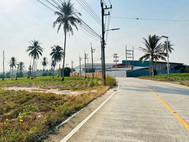 ประกาศฟรี! ซื้อ-ขาย-เช่า คอนโด บ้าน ทาวน์โฮม ที่ดิน และพื้นที่เชิงพาณิชย์ทั่วประเทศไทย ทุกทำเล ทุกงบประมาณ ไม่มีค่าใช้จ่าย ลงง่าย ขายไว เข้าถึงผู้ซื้อโดยตรง 5 295720pic4.jpg