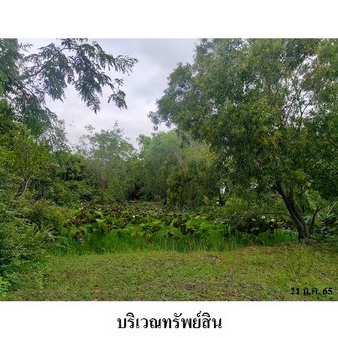 ประกาศฟรี! ซื้อ-ขาย-เช่า คอนโด บ้าน ทาวน์โฮม ที่ดิน และพื้นที่เชิงพาณิชย์ทั่วประเทศไทย ทุกทำเล ทุกงบประมาณ ไม่มีค่าใช้จ่าย ลงง่าย ขายไว เข้าถึงผู้ซื้อโดยตรง 3 236617pic2.jpg