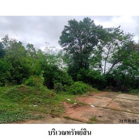 ประกาศฟรี! ซื้อ-ขาย-เช่า คอนโด บ้าน ทาวน์โฮม ที่ดิน และพื้นที่เชิงพาณิชย์ทั่วประเทศไทย ทุกทำเล ทุกงบประมาณ ไม่มีค่าใช้จ่าย ลงง่าย ขายไว เข้าถึงผู้ซื้อโดยตรง 4 236617pic3.jpg