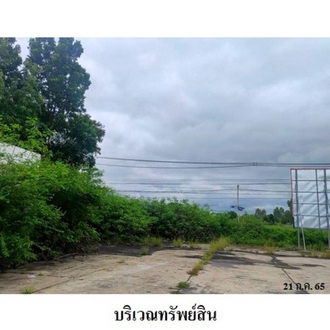 ประกาศฟรี! ซื้อ-ขาย-เช่า คอนโด บ้าน ทาวน์โฮม ที่ดิน และพื้นที่เชิงพาณิชย์ทั่วประเทศไทย ทุกทำเล ทุกงบประมาณ ไม่มีค่าใช้จ่าย ลงง่าย ขายไว เข้าถึงผู้ซื้อโดยตรง 5 236617pic4.jpg