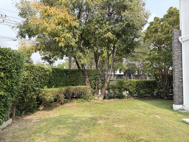 ประกาศฟรี! ซื้อ-ขาย-เช่า คอนโด บ้าน ทาวน์โฮม ที่ดิน และพื้นที่เชิงพาณิชย์ทั่วประเทศไทย ทุกทำเล ทุกงบประมาณ ไม่มีค่าใช้จ่าย ลงง่าย ขายไว เข้าถึงผู้ซื้อโดยตรง 4 511727pic3.jpg