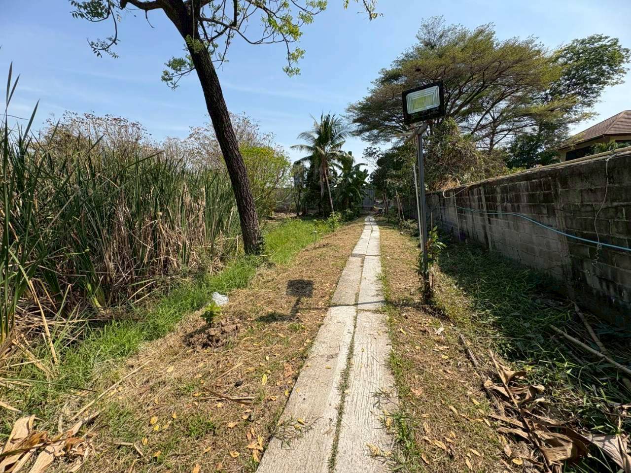 ประกาศฟรี! ซื้อ-ขาย-เช่า คอนโด บ้าน ทาวน์โฮม ที่ดิน และพื้นที่เชิงพาณิชย์ทั่วประเทศไทย ทุกทำเล ทุกงบประมาณ ไม่มีค่าใช้จ่าย ลงง่าย ขายไว เข้าถึงผู้ซื้อโดยตรง 5 512322pic4.jpg