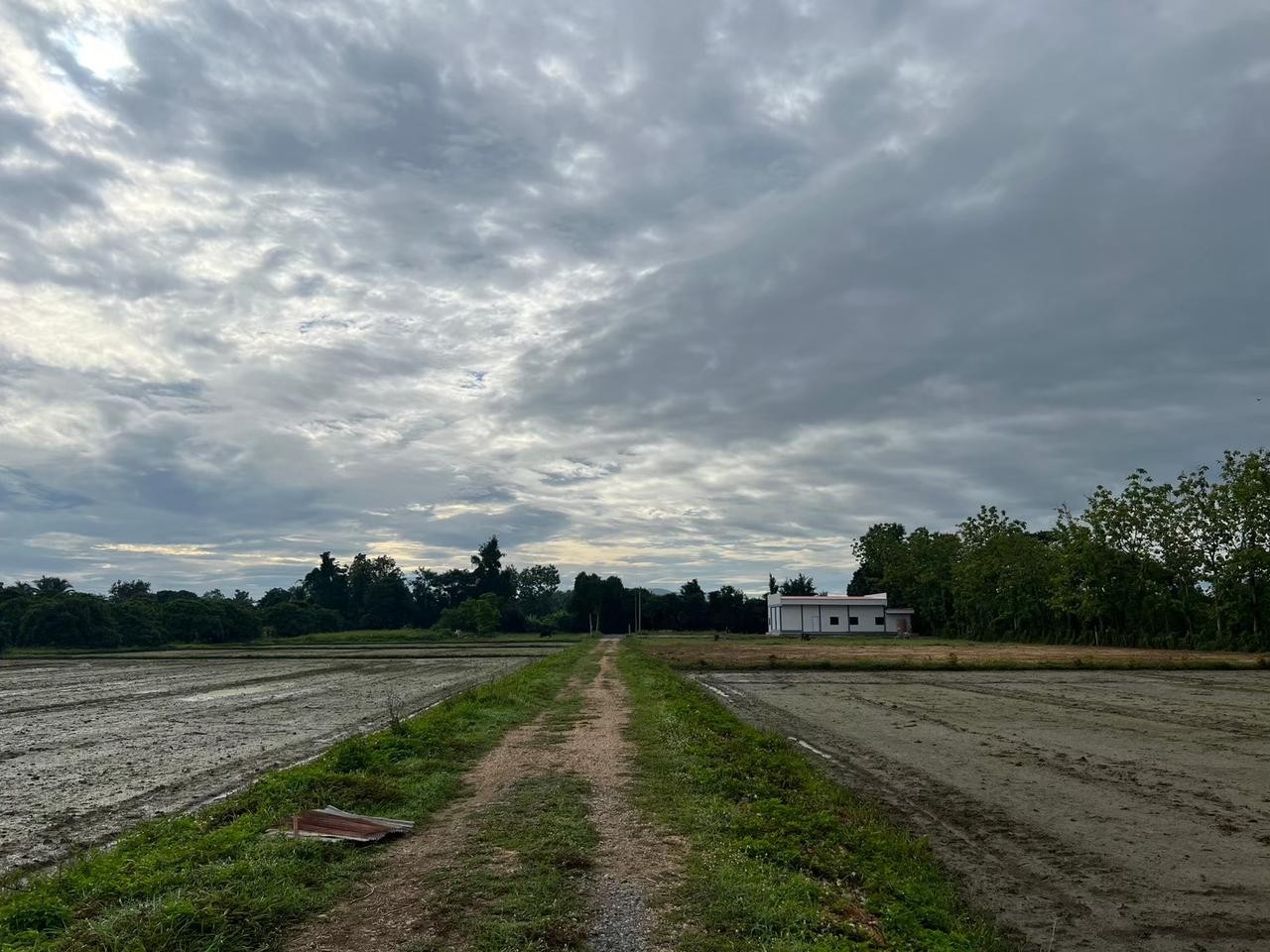 ประกาศฟรี! ซื้อ-ขาย-เช่า คอนโด บ้าน ทาวน์โฮม ที่ดิน และพื้นที่เชิงพาณิชย์ทั่วประเทศไทย ทุกทำเล ทุกงบประมาณ ไม่มีค่าใช้จ่าย ลงง่าย ขายไว เข้าถึงผู้ซื้อโดยตรง 2 314143pic1.jpg