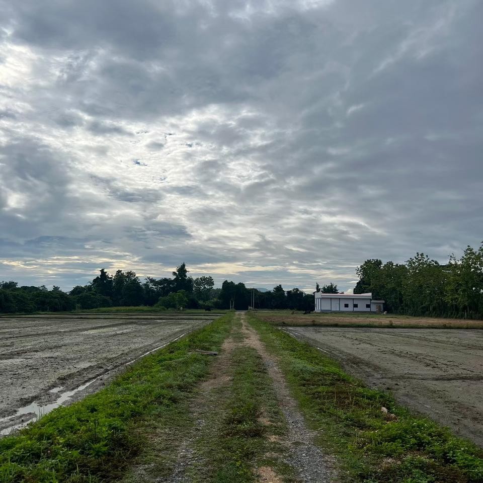 ประกาศฟรี! ซื้อ-ขาย-เช่า คอนโด บ้าน ทาวน์โฮม ที่ดิน และพื้นที่เชิงพาณิชย์ทั่วประเทศไทย ทุกทำเล ทุกงบประมาณ ไม่มีค่าใช้จ่าย ลงง่าย ขายไว เข้าถึงผู้ซื้อโดยตรง 3 314143pic2.jpg